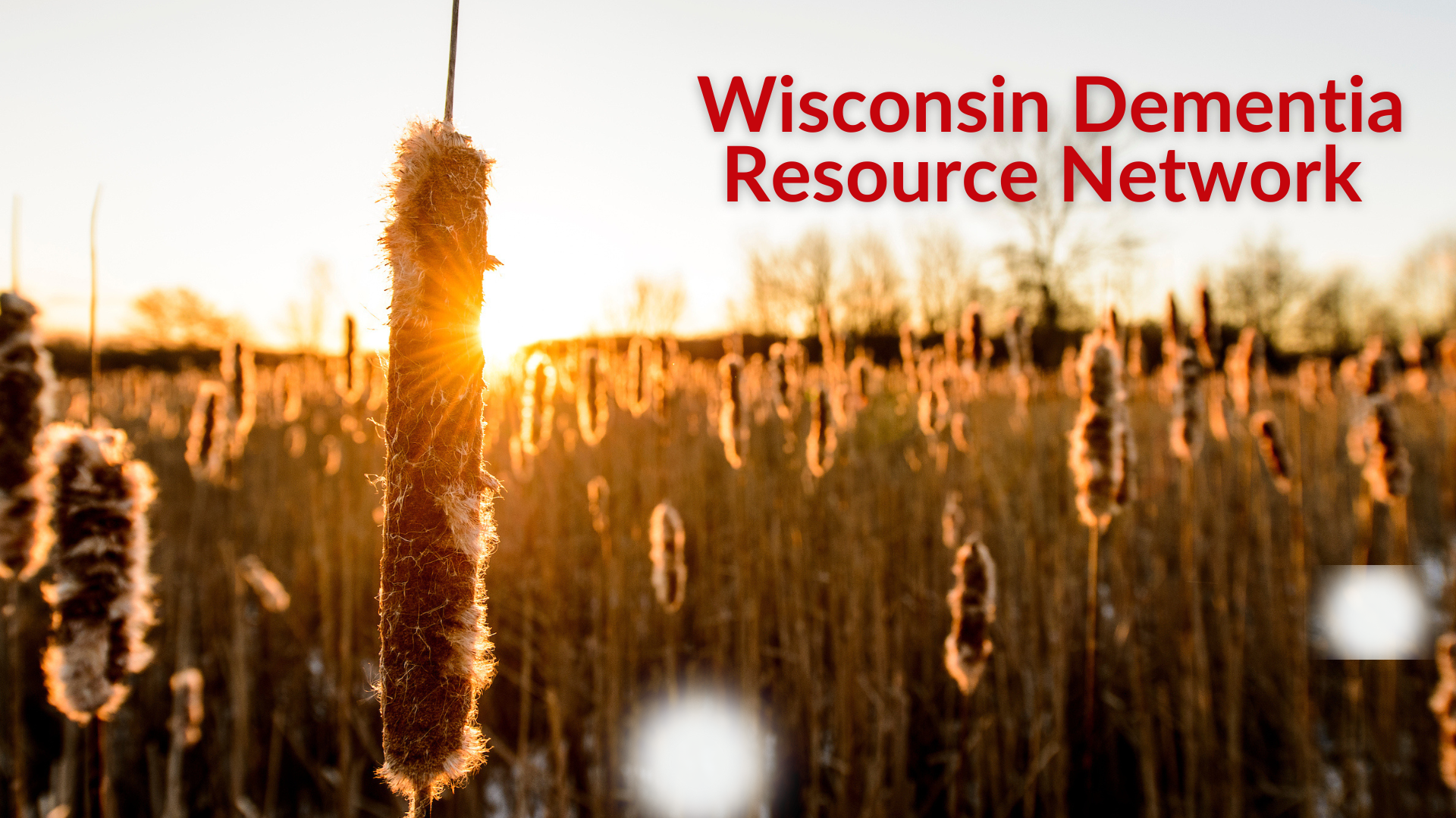 Wisconsin Wai Program WDRN Webinar: Maslow Hierarchy of Needs – Wisconsin Alzheimer’s ...