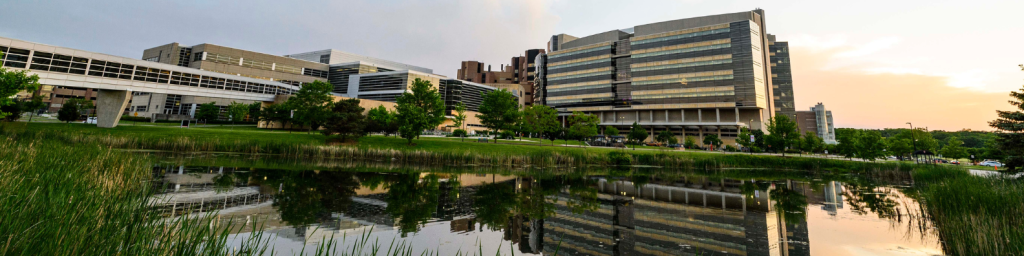 Wisconsin Wai Program Wisconsin Alzheimer’s Institute – Shaping a future free from Alzheimer ...